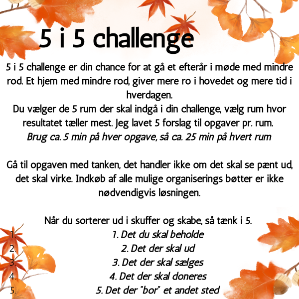 5 i 5 Challenge – struktur, ro og resultater med små skridt