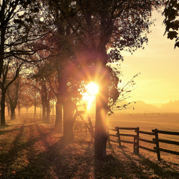 20 hyggelige og billige ferieaktiviteter med børn og børnebørn