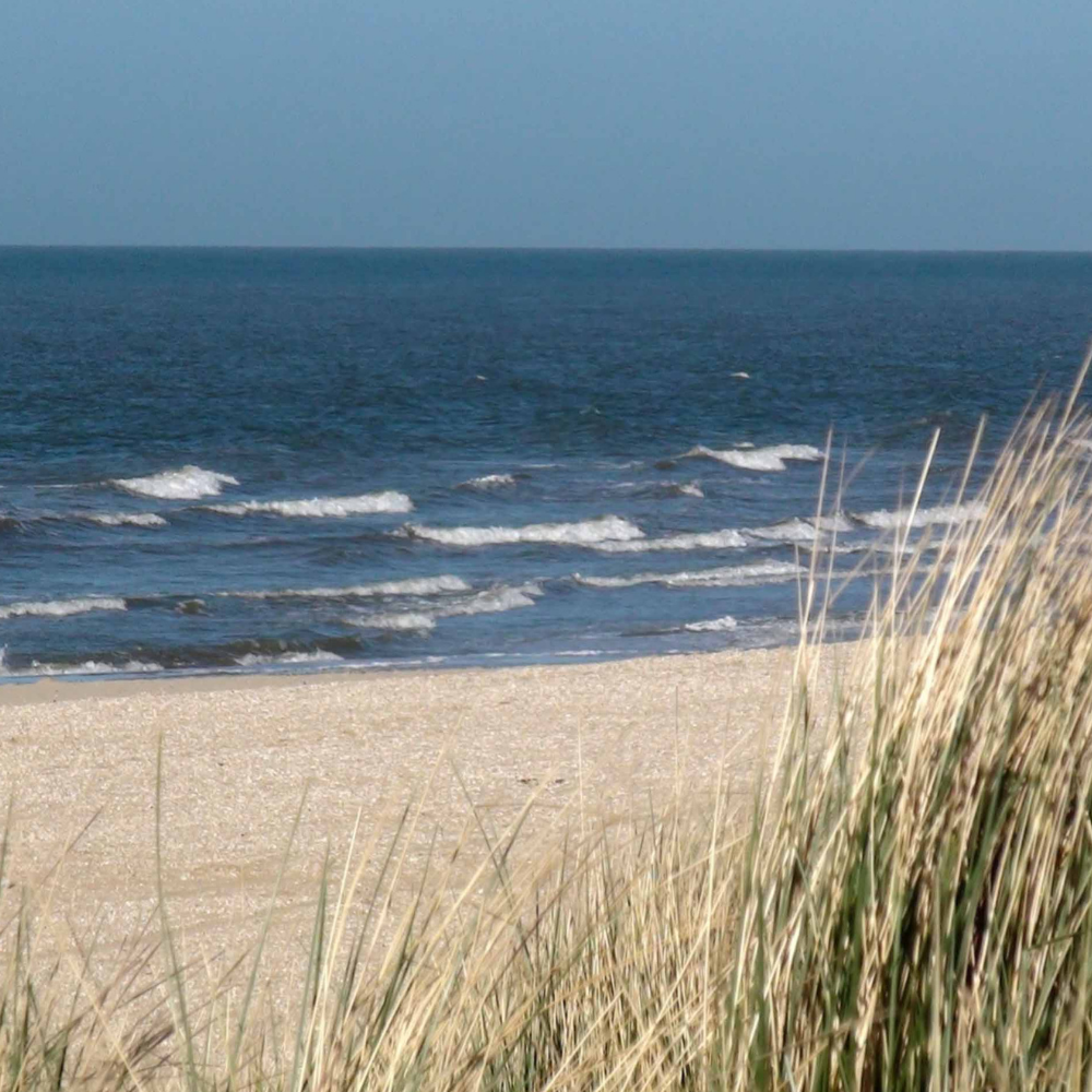 Vind et gavekort på 3000 kr. til Esmark Feriehusudlejning