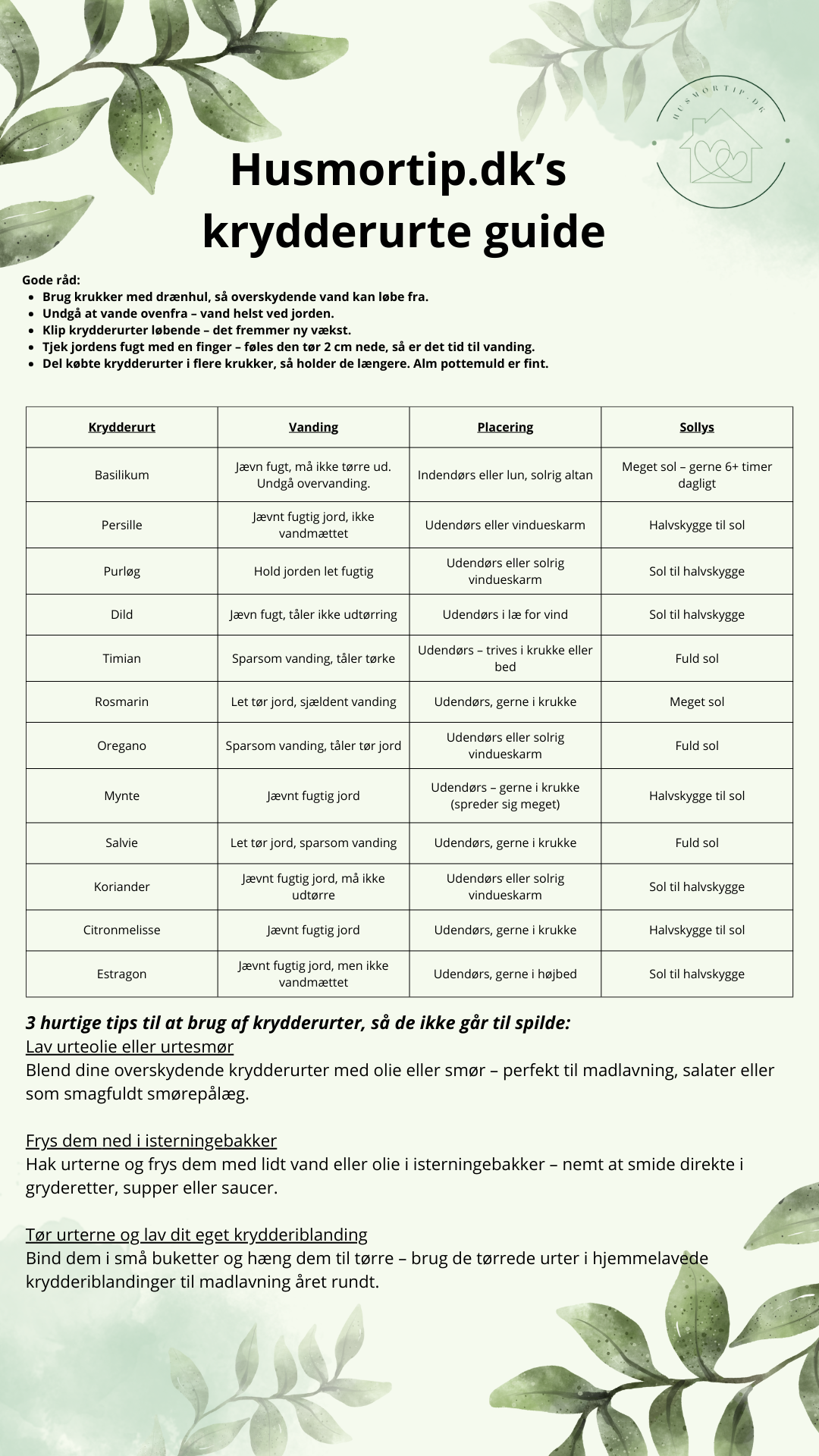 Krydderurte guide