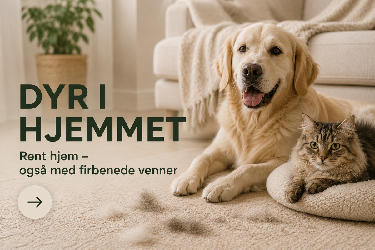 Dyr i Hjemmet