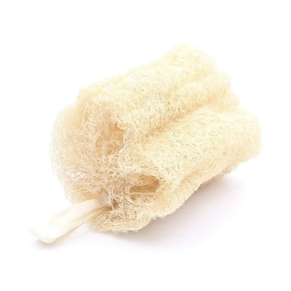 Loofah Kropssvamp