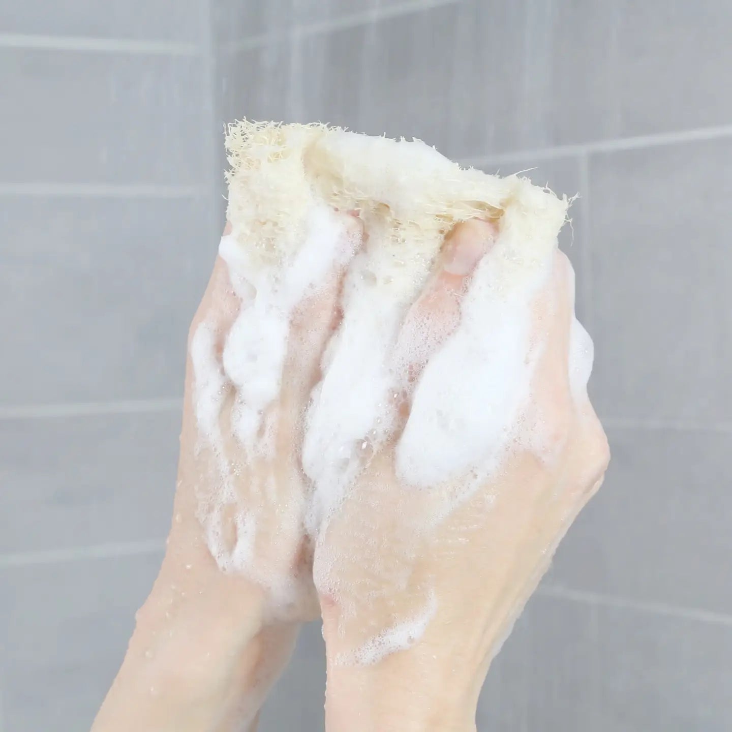 Loofah Kropssvamp