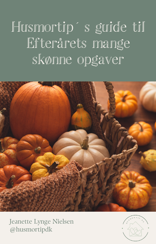 Efterårs E-bogen 2024 - gratis til dig