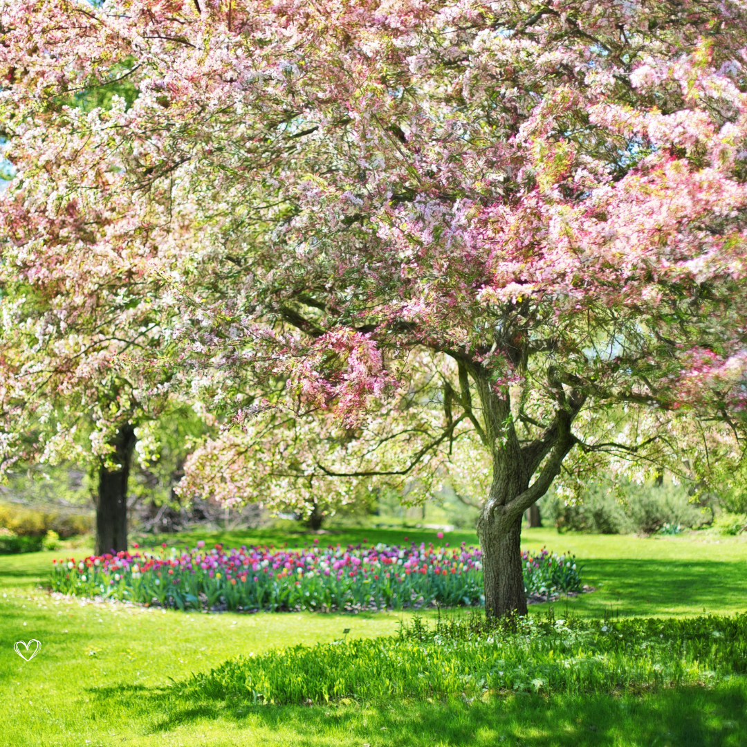 21 dages forårsrengøring