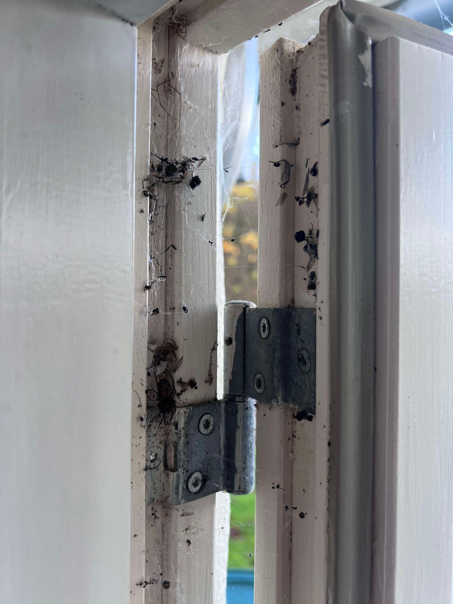 Mine bedste tips til rengøring af vinduesrammer – nemt og effektivt!