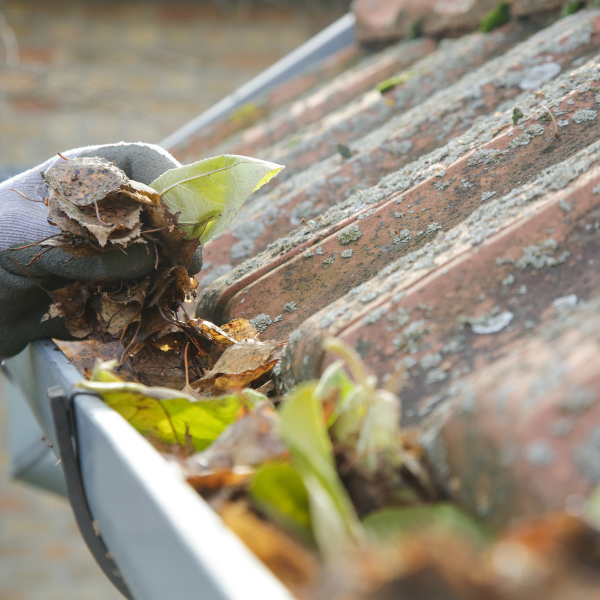 Efterårsrengøring: De områder i hjemmet du bør forberede, før bladene falder