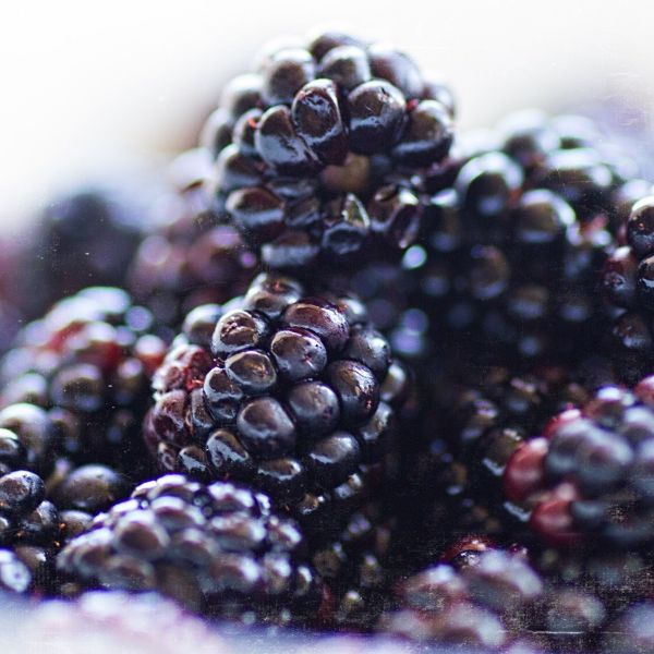 Verdens bedste brombærgelé