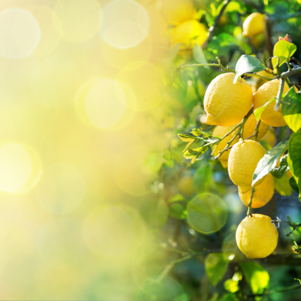 Sodakrystaller og citroner - Husmortip.dk