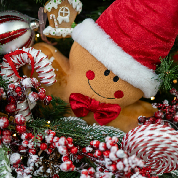 16. december - Støv juledekorationer af (uden at ødelægge dem)