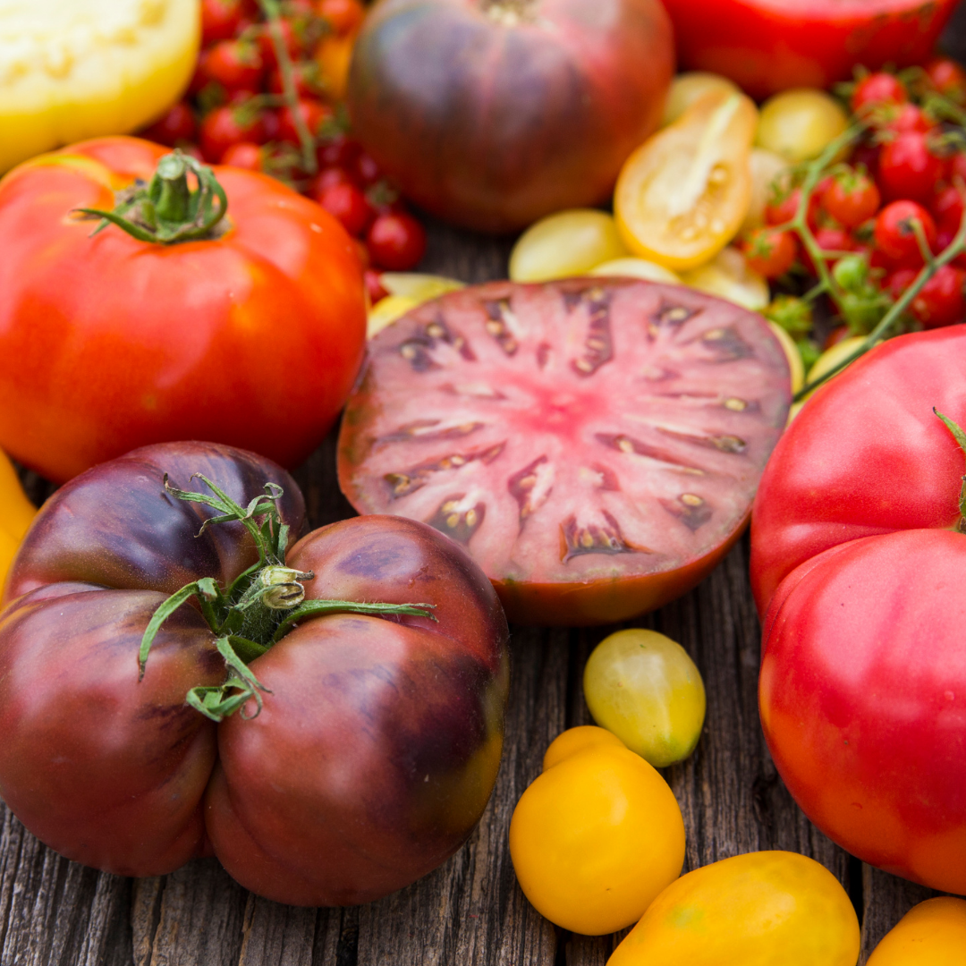 Kan man fryse en tomat? Får svaret her