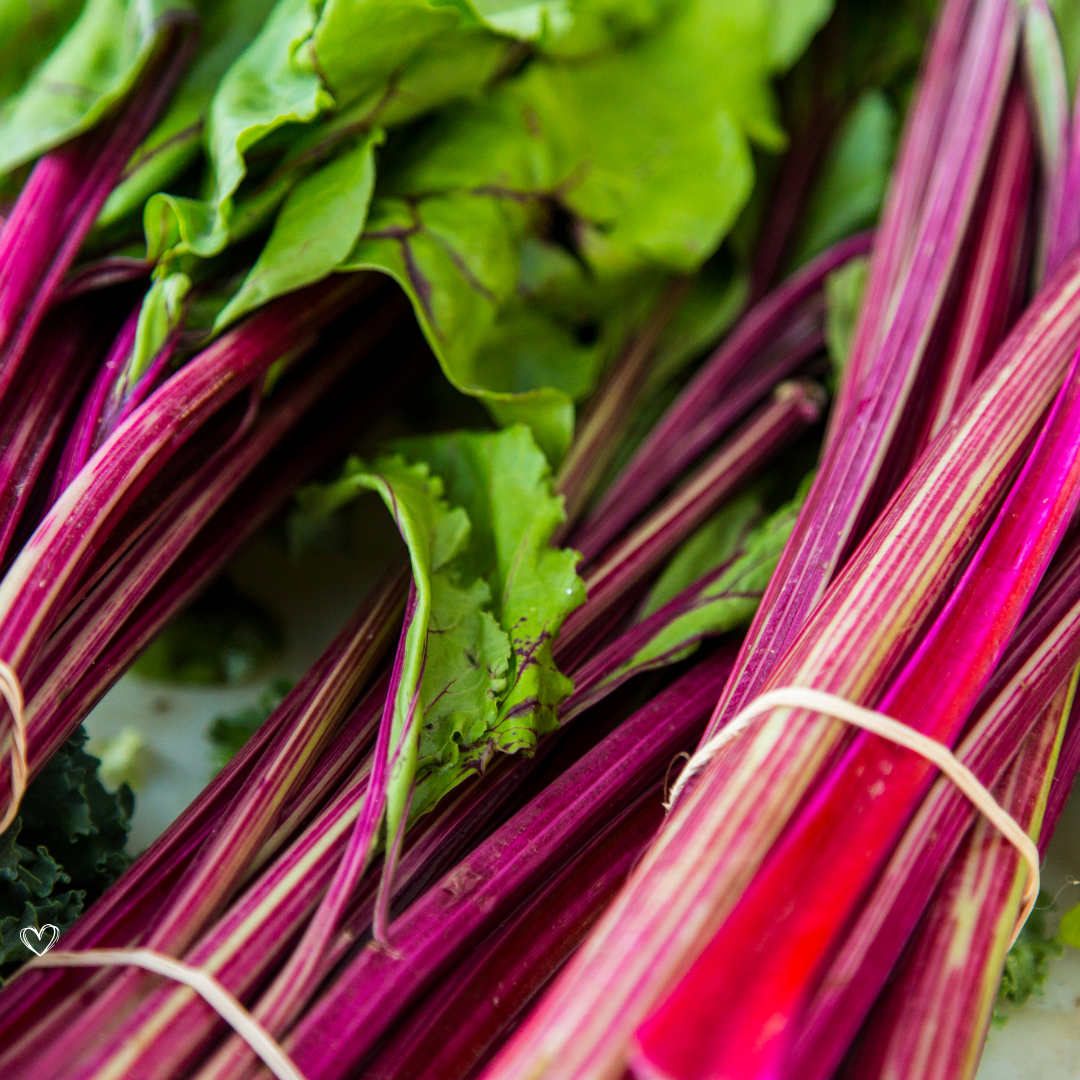 Min bedste forårs dessert med rabarber