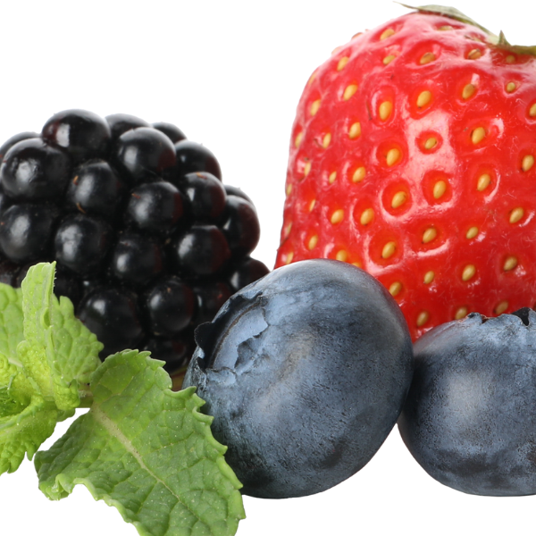 Sunde chokolade bar med bær og kokos