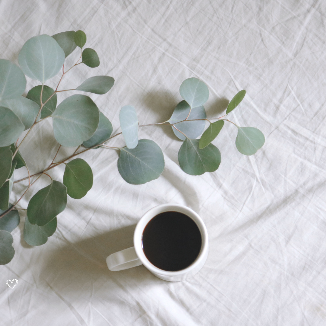 Mine bedste eukalyptus tips og tricks