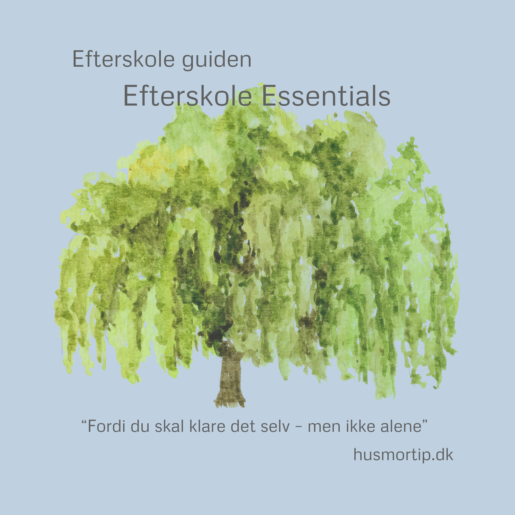 Efterskole E-Bogen