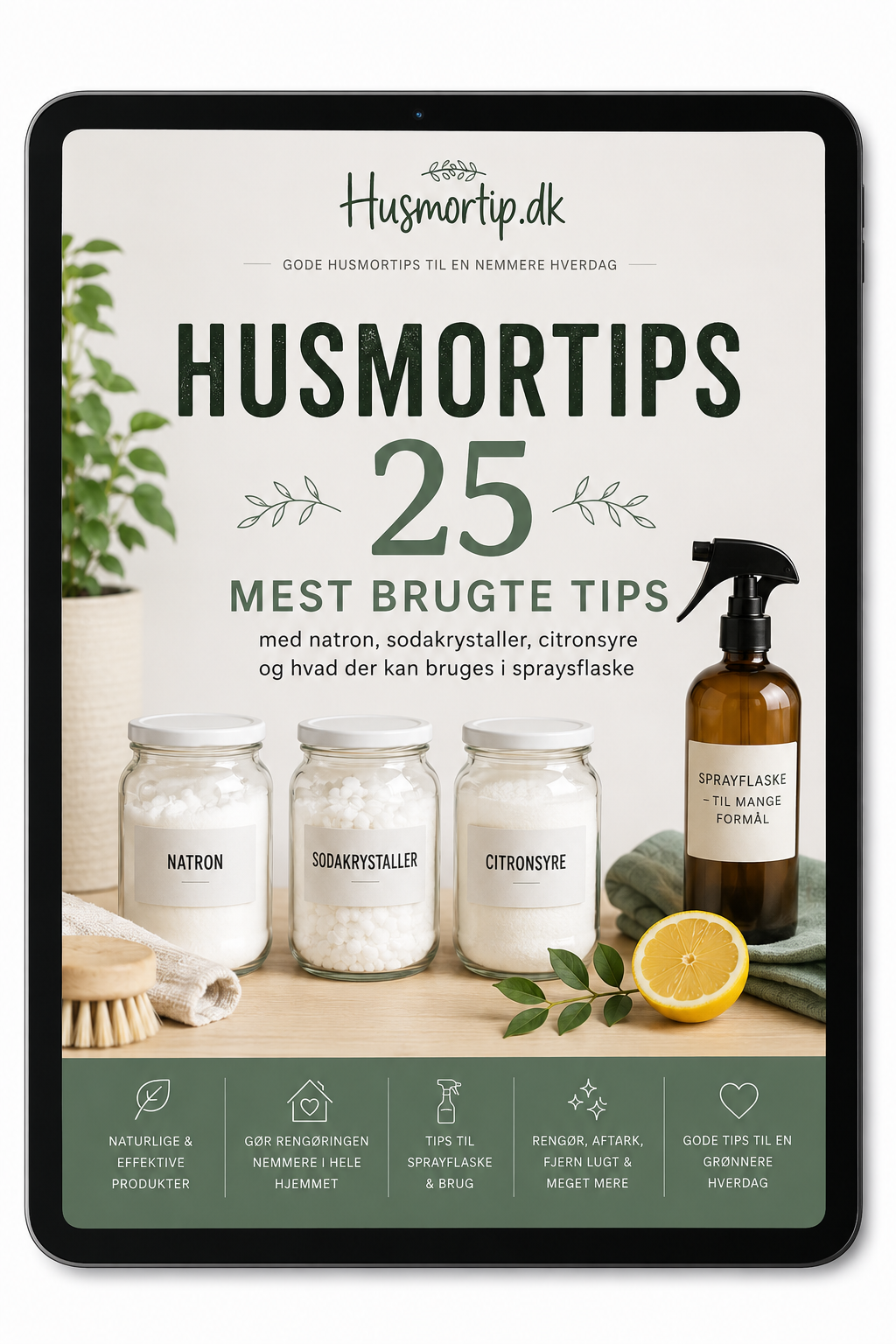 MINE 25 MEST BRUGTE HUSMORTIP - digital guide